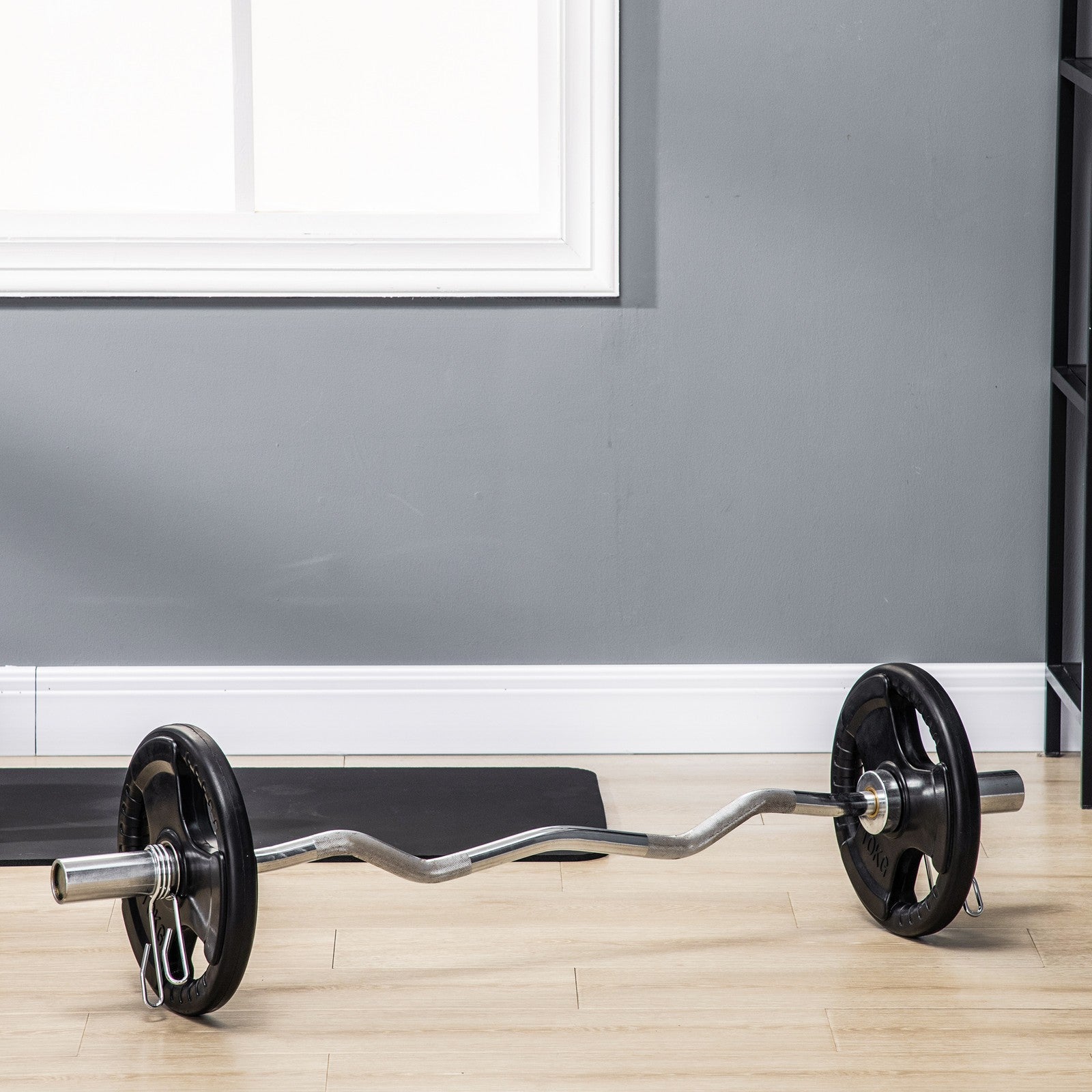 2Er-Set Hantelscheiben 2 X 10 KG Olympiascheibe